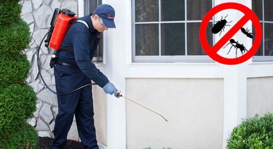 Bayramiç Fare İlaçlama böcek ilaçlama ve haşere kontrolü — ilaclama-tr.com